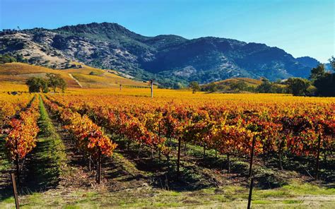 california wine tours from san francisco
